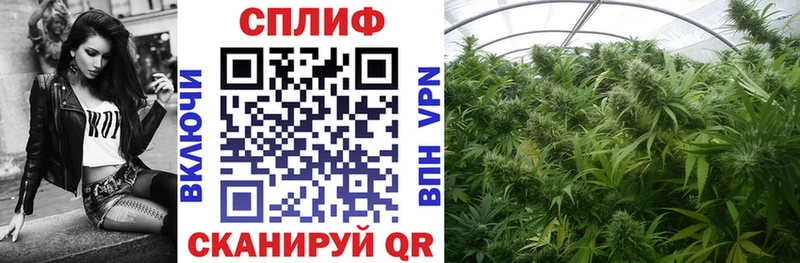 Где продают наркотики Гагарин Гашиш  КОКАИН  ТГК  Меф  Alpha-PVP 