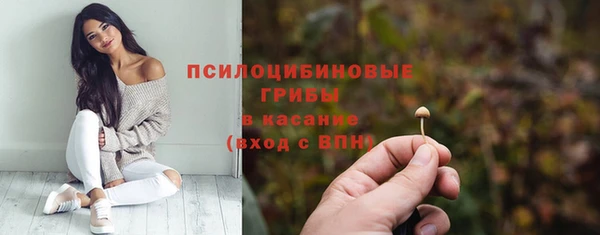 мяу мяу мука Михайлов