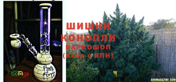 мяу мяу мука Михайлов