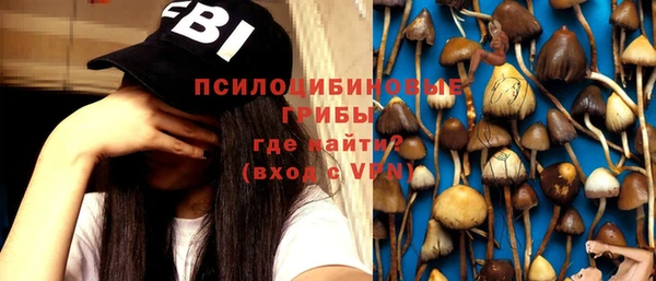 МДПВ Михайловск
