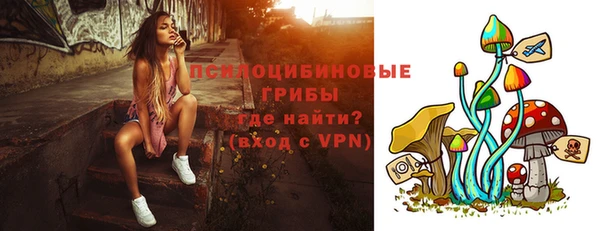 мяу мяу мука Михайлов