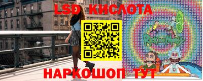 крисы Будённовск