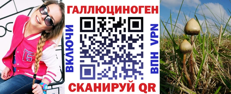Псилоцибиновые грибы Psilocybe  Гагарин 