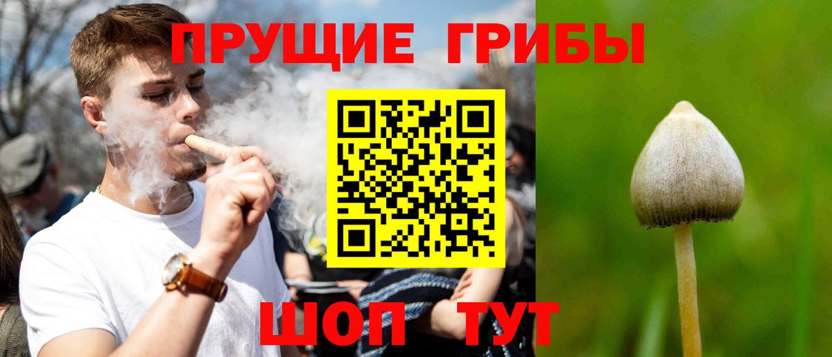 Псилоцибиновые грибы Psilocybe  Псилоцибиновые грибы MAGIC MUSHROOMS  Гагарин  Вход с VPN 