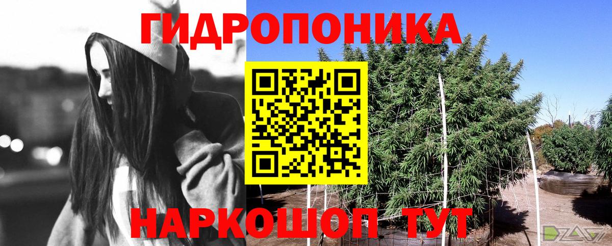Шишки марихуана White Widow Гагарин
